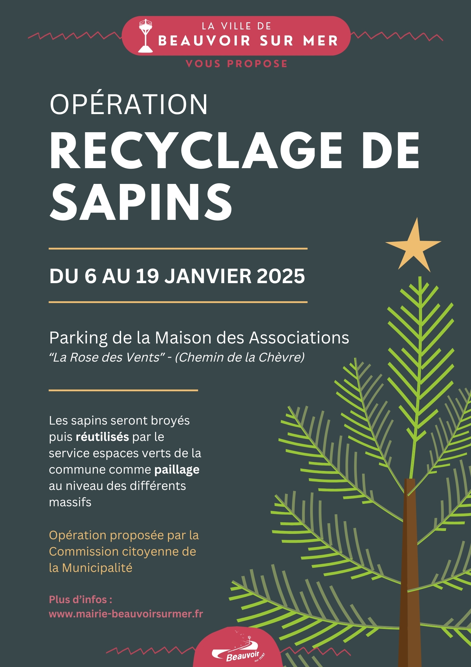 Opération recyclage de sapins de Noël 2025